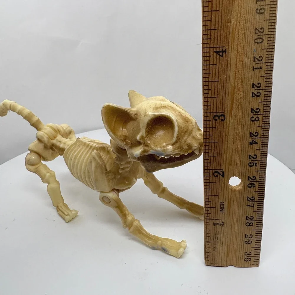 Articulated Cat Skeleton Halloween Figurine Posable Plastic Bone Decor 7 Inch